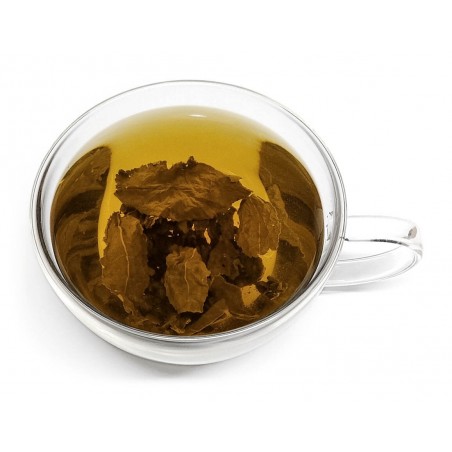 Exclusive Ginseng Oolong Tea 100g GF Doypack