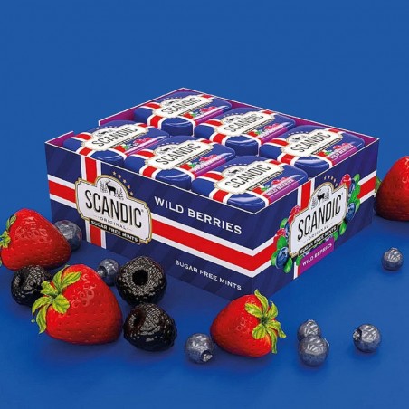 Cukuru nesaturošas pastilas Scandic Fresh Wild Berries meža ogas 14g