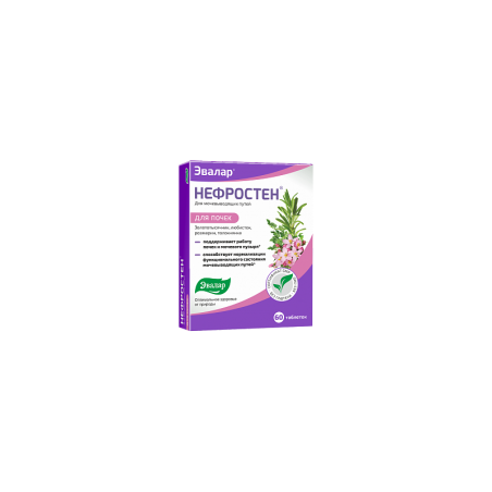 Nefrosten N60 Evalar for kidney and bladder health