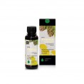 Cedar oleoresin with cedar oil with Serrated Wintergreen (orthilia secunda) 100ml Zivitsa s Borovoy Matkoy Cedar oleoresin with cedar oil with Serrated Wintergreen (orthilia secunda) 100ml Zivitsa s Borovoy Matkoy