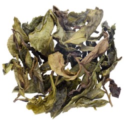 Taiwan GABA Green Tea...