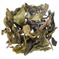 Taiwan GABA Green Tea (pre-QingMing) | Ming Qian Jin Xuan Lu Cha 16g GT