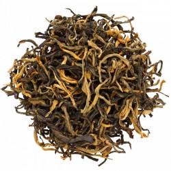 Yunnan Golden Tips | Dian...