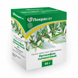 Ортосифон тычиночный листья...