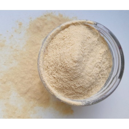 Organic Freeze-dried Mango Powder 100g Centralsun