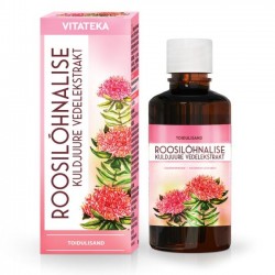 Rhodiola rosea Rožainās...