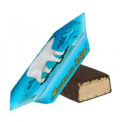 Konfektes šokolādes glazūrā "Lācis ziemeļos" 1kg