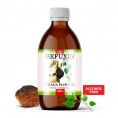 Chaga Elixir Befuxin (alcohol free) 120ML Vitateka Chaga Elixir Befuxin (alcohol free) 120ML Vitateka