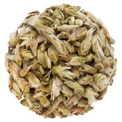 Puerh Buds Bai Ya Bao 50g GT