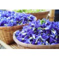 Organic Butterfly Pea flowers 25g Anchan Tea Centralsun