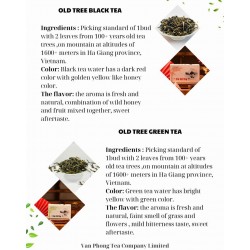 Vietnamese Ancient Tree Green Tea 3.5g pyramid bag Van Phong Tea