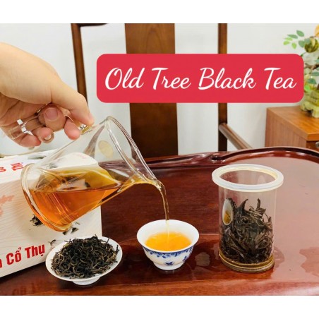Vietnamese Ancient Tree Black Tea 150g Van Phong Tea