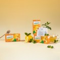 Tea with lemon and mint (24g) 20pcs x 1.2g Lukcheta Tea with lemon and mint (24g) 20pcs x 1.2g Lukcheta