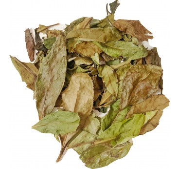 Long Man Tea Pai Mu Tan - Бай Му Дань Рассыпной Белый чай 200г