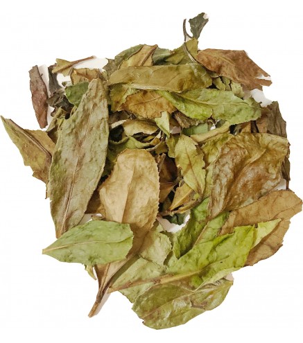 Long Man Tea Pai Mu Tan - Бай Му Дань Рассыпной Белый чай 200г