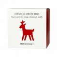 Teministeriet Christmas Sencha Spice Loose Green tea 100g