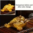 Color-changing Tea Pet - money toad