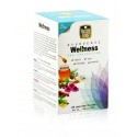 MCCOY TEAS Wellness коллекция Аюрведических Зеленых чаев 2гx24шт