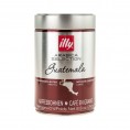 Кофе в зернах Illy Arabica Selection Гватемала 250g Кофе в зернах Illy Arabica Selection Гватемала 250g