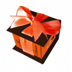 Mon Amore Whole tangerine in dark chocolate, 44g