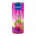 Pitaijas gāzēts dzēriens Greppo Dragon Sparkling juice drink 320 ml Pitaijas gāzēts dzēriens Greppo Dragon Sparkling juice drink 320 ml