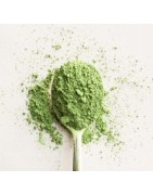 Matcha