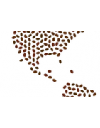Central America