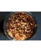 Buckwheat tea
