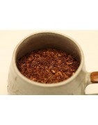 Rooibos