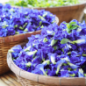 Blue tea