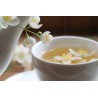 Jasmine Green Tea