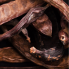 Carob