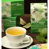 Green tea in tea bags