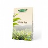 White Tea