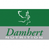 Damhert