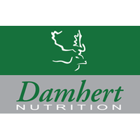 Damhert
